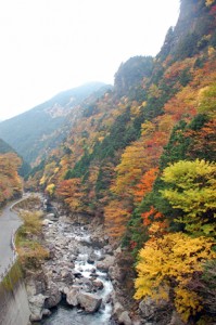 天の川もみじまつり