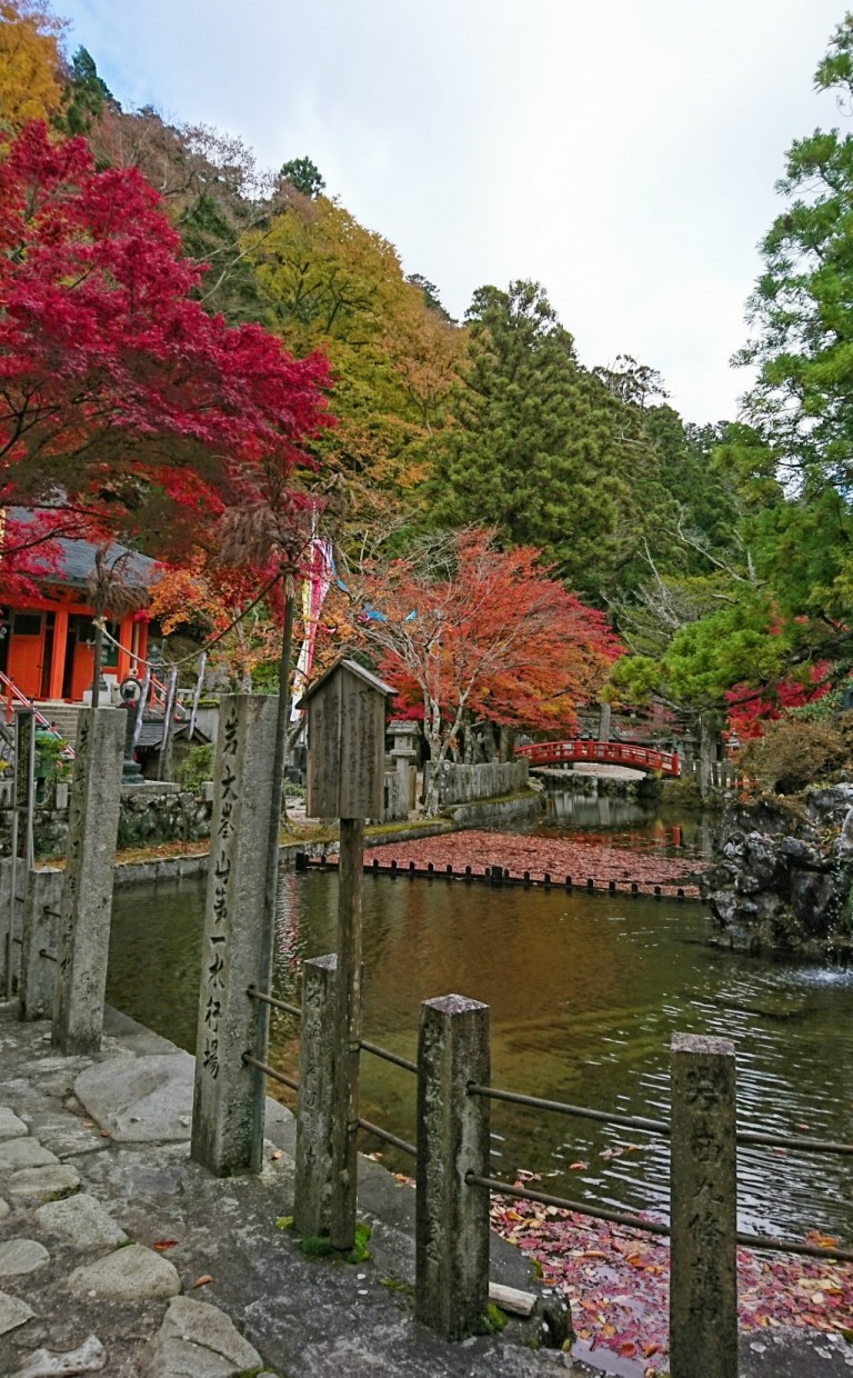 R2.11.4 天川村内の紅葉情報 天川村公式サイト観光ページ R2.11.4 天川村内の紅葉情報 天川村公式サイト観光ページ
