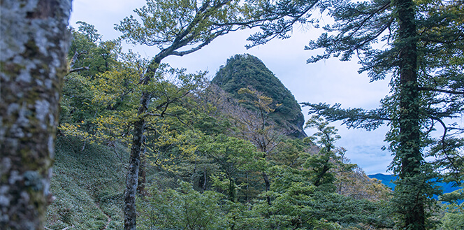 大日山＜稲村山・雨乞いの山＞