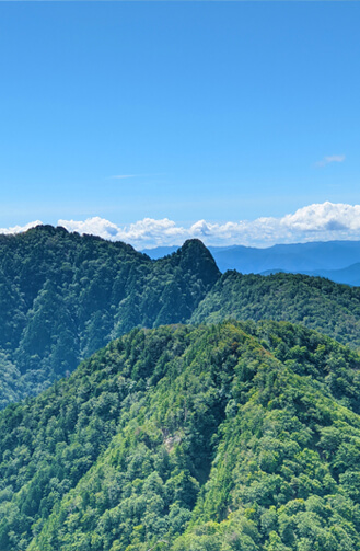 稲村ヶ岳