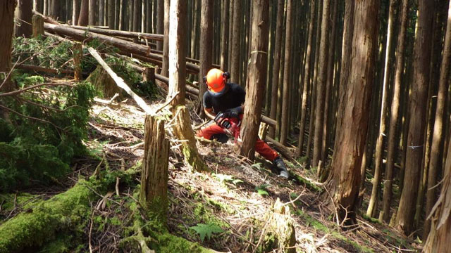 奈良県天川村 定住促進サイト