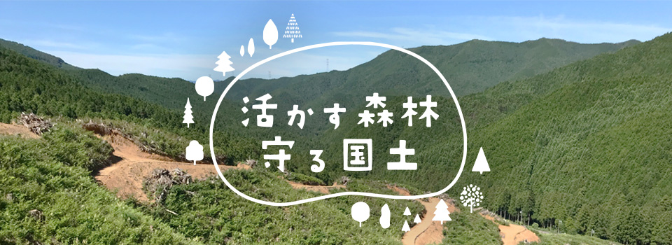 林業への取り組み