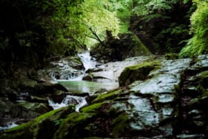 【地域おこし協力隊募集！】山の上の自然と清流に抱かれた村で活躍するアナタを待っています！林業にチャレンジしてみませんか！