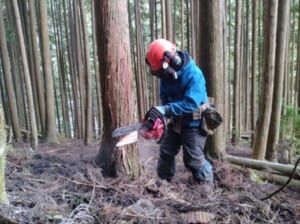 【地域おこし協力隊募集！】山の上の自然と清流に抱かれた村で活躍するアナタを待っています！林業にチャレンジしてみませんか！