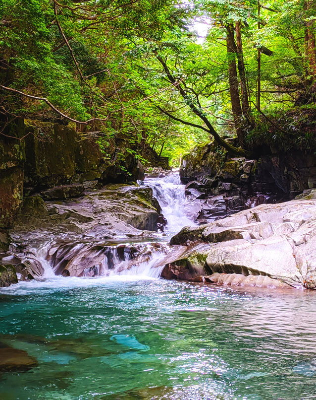 エメラルドグリーンにかがやくかじかの滝は、その美しさから天川村ホームページの総合ページの背景にも起用されています。