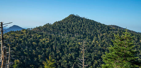 雲海が広がる山々の景色は、人々を魅了させます。