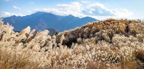 雲海が広がる山々の景色は、人々を魅了させます。