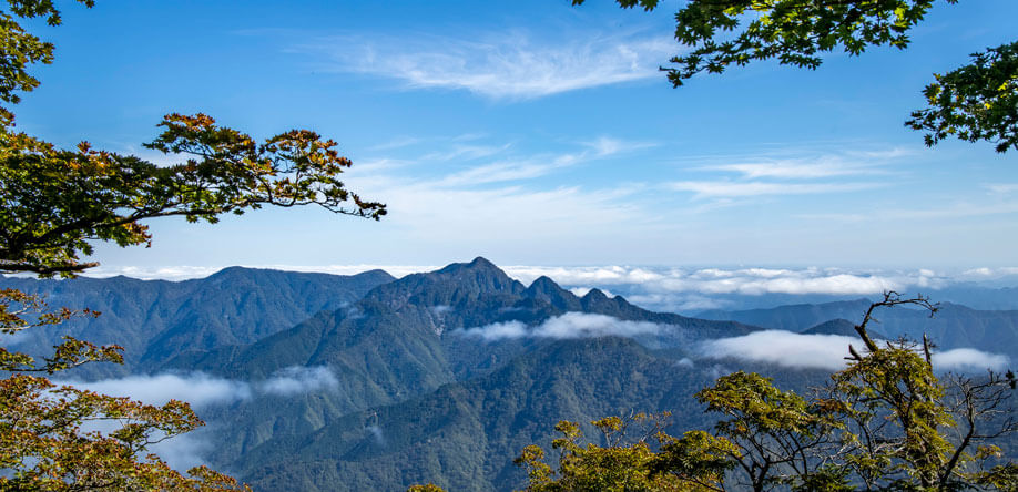 世界遺産 大峯 | 天川村公式サイト(奈良県) 観光ページ