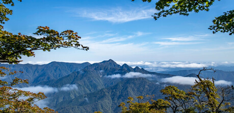雲海が広がる山々の景色は、人々を魅了させます。