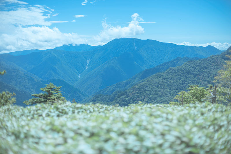 険しい道中から女人禁制の山とされています。