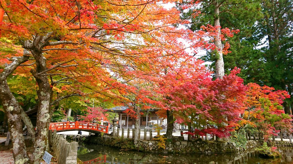 R2 10 29 天川村内の紅葉情報 天川村公式サイト 奈良県 観光ページ