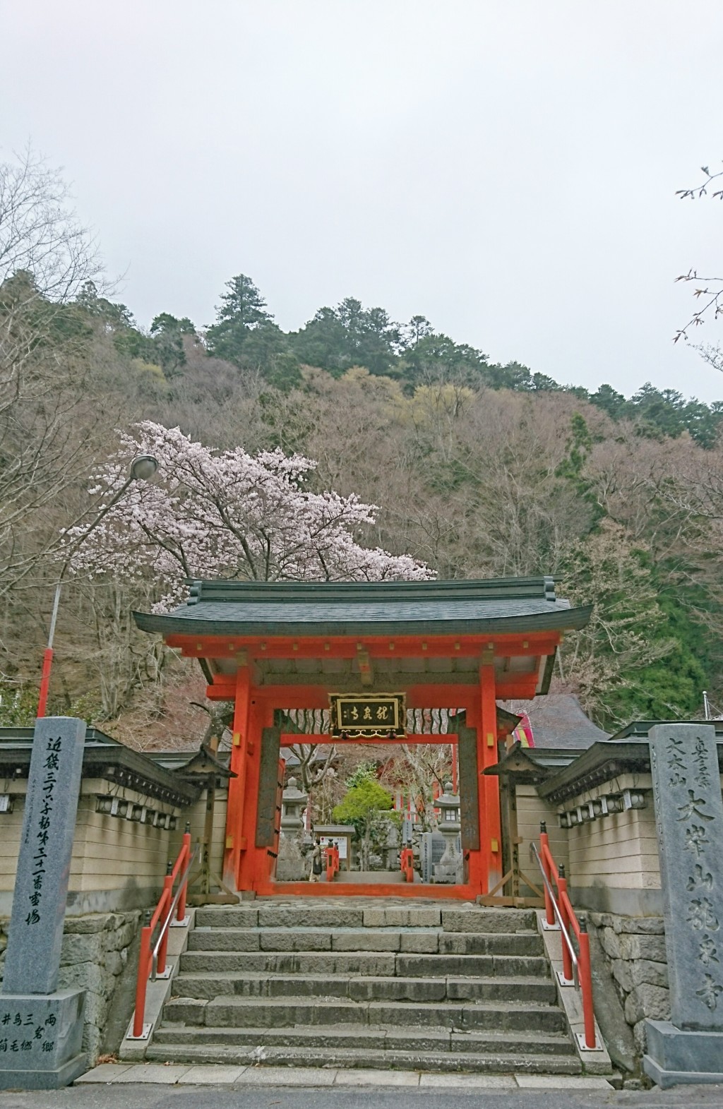 天川村 花だより 天川村公式サイト(奈良県) 観光ページ 天川村 花だより 天川村公式サイト(奈良県) 観光ページ