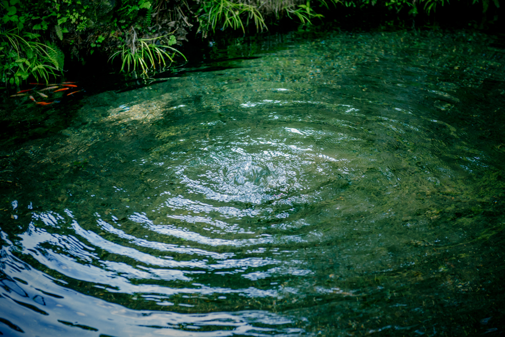 水