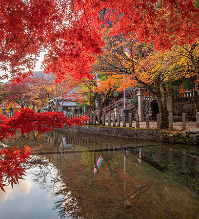 龍泉寺